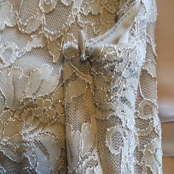 Ronnie Nicole mother of the bride dress - Picture 8 of 12